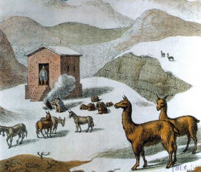 Pulsa para ver la imagen a tamaño completo