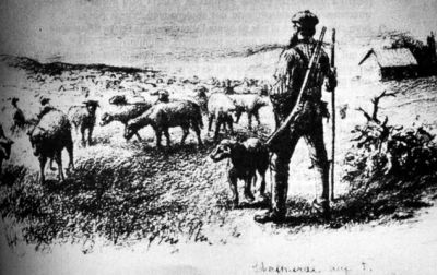 Pulsa para ver la imagen a tamaño completo