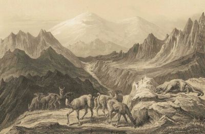 Pulsa para ver la imagen a tamaño completo