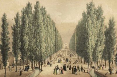 Pulsa para ver la imagen a tamaño completo