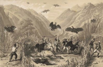 Pulsa para ver la imagen a tamaño completo