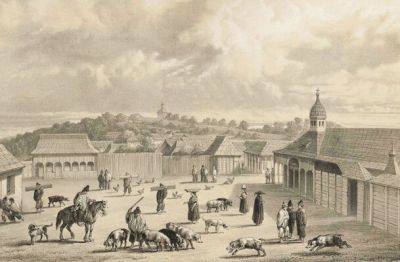 Pulsa para ver la imagen a tamaño completo