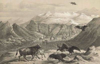 Pulsa para ver la imagen a tamaño completo