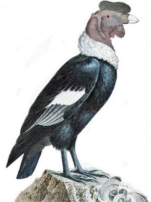 Pulsa para ver la imagen a tamaño completo