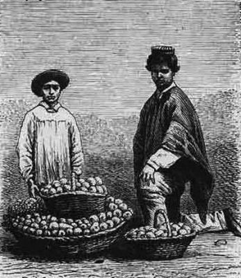 Pulsa para ver la imagen a tamaño completo