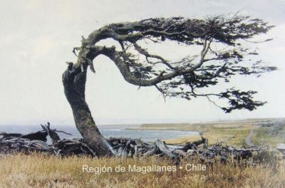 Pulsa para ver la imagen a tamaño completo