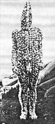 Pulsa para ver la imagen a tamaño completo