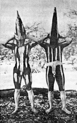 Pulsa para ver la imagen a tamaño completo