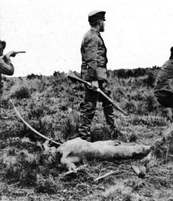 Pulsa para ver la imagen a tamaño completo