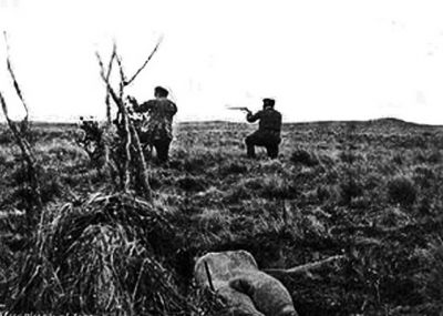 Pulsa para ver la imagen a tamaño completo