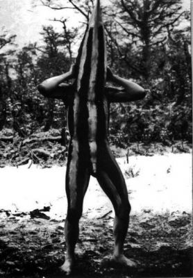 Pulsa para ver la imagen a tamaño completo