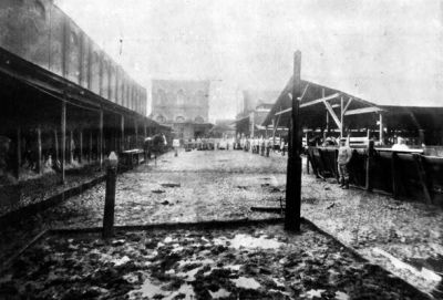 Pulsa para ver la imagen a tamaño completo