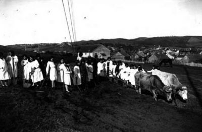 Pulsa para ver la imagen a tamaño completo