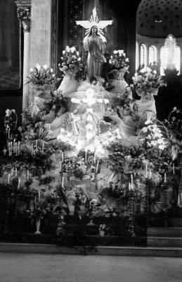 Pulsa para ver la imagen a tamaño completo