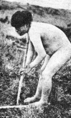 Pulsa para ver la imagen a tamaño completo