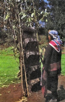 Pulsa para ver la imagen a tamaño completo