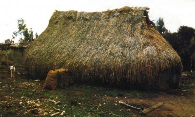 Pulsa para ver la imagen a tamaño completo