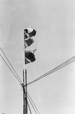 Pulsa para ver la imagen a tamaño completo