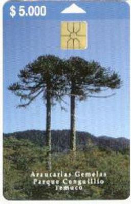 Pulsa para ver la imagen a tamaño completo