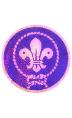 scouts